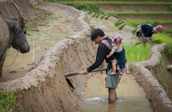 Nhớ Cha – Suốt cuộc đời chăm chỉ, vất vả mưu sinh