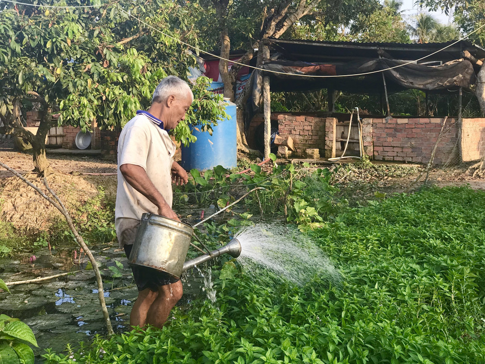 Thương cha ở quê nhà – Bài thơ nói lên nỗi lòng người con thương cha cả đời vất vả ngược xuôi