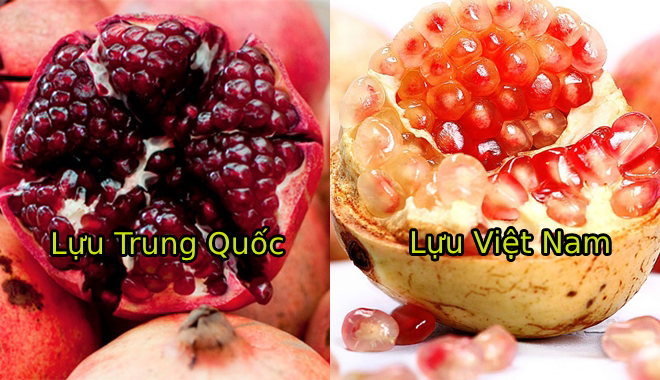 Mẹo hay phân biệt lựu Trung Quốc và lựu Việt Nam