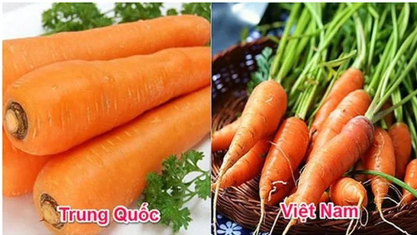 Người trồng rau tiết lộ: Cách phân biệt rau, củ của Việt Nam và Trung Quốc, tinh ý sẽ không bao giờ nhầm lẫn