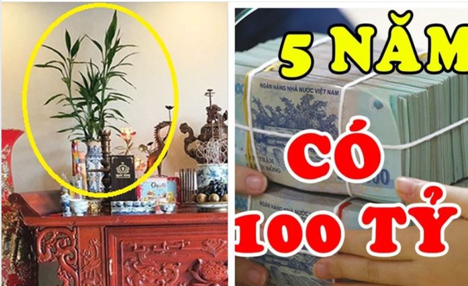 Hoa cúng trên bàn thờ đừng suốt ngày đặt hoa cúc mãi. Đây mới là loại cây, loại hoa may mắn, giàu nhanh chóng mặt