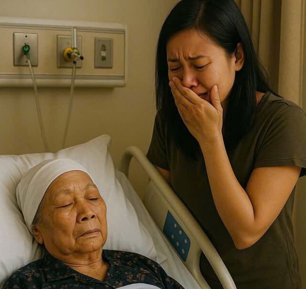 Vừa bị tr:úng gi:ó mẹ già đã bị 2 con trai thúc ép chia đất đai chỉ riêng cô con dâu từng bị bà hắ:t hủ:i lại là người duy nhất khiến bà xúc động rơi nước mắt…..