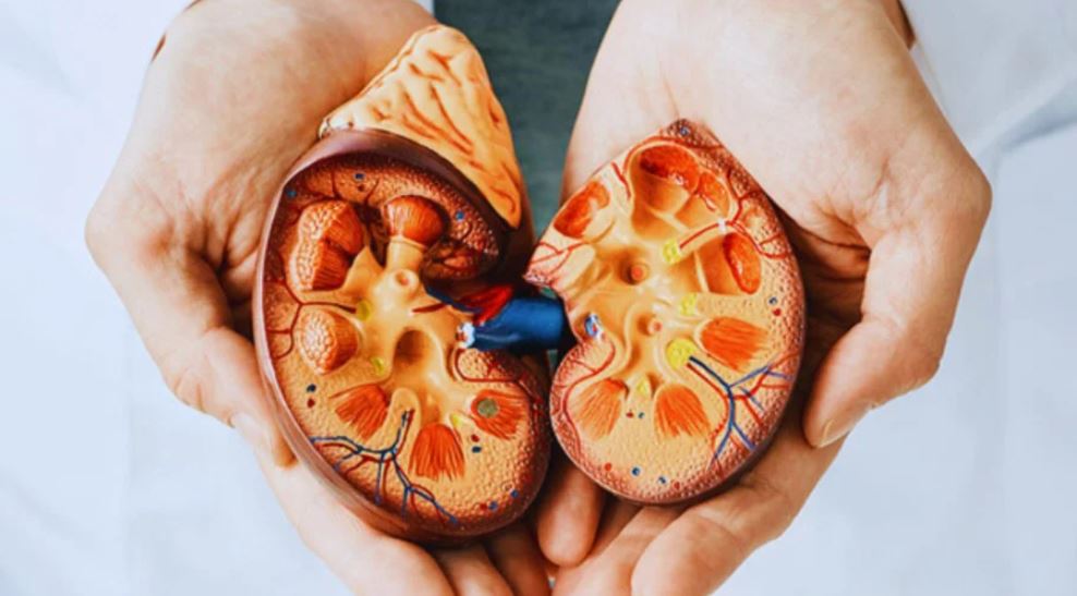 7 dấu hiệu vào buổi tối cảnh báo suy thận, đừng chủ quan kẻo chạy thận cả đời
