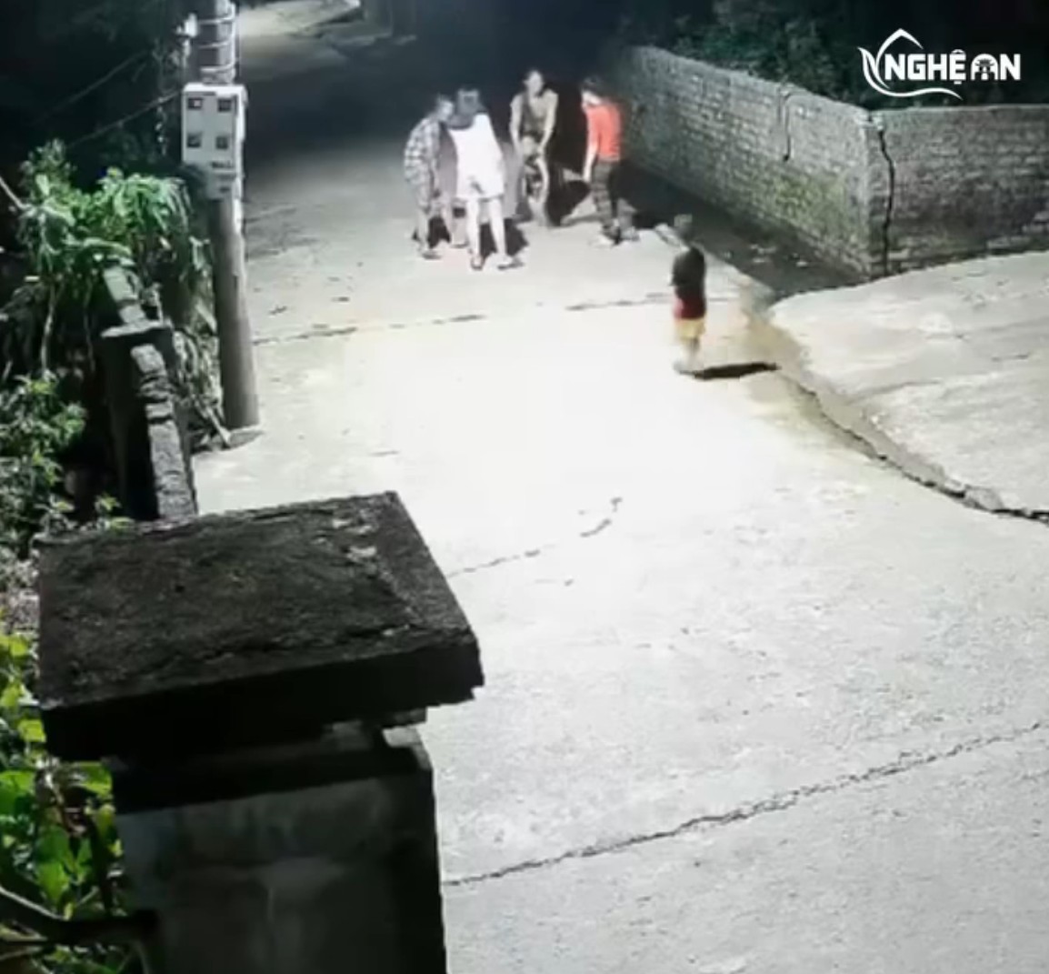 Clip bé 4 tuổi ‘giải cứu’ em trai đu/ối n/ước khiến triệu người thót tim