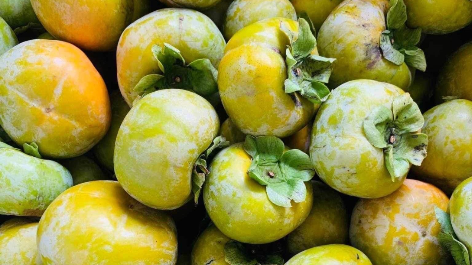 Hồng giòn vào mùa chín vàng ngon nhưng 6 người này nên hạn chế ăn kẻo phải cấp cứu
