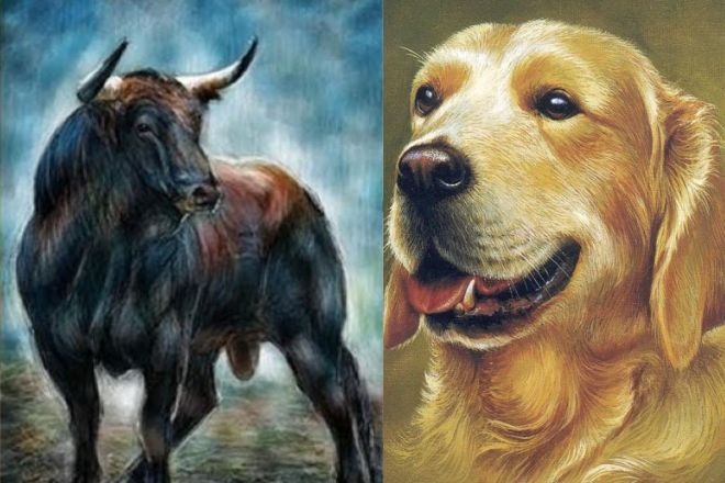 Tử vi thứ 3 ngày 9/9/2025 của 12 con giáp: Sửu được quý nhân ĐỘ, Tỵ may mắn