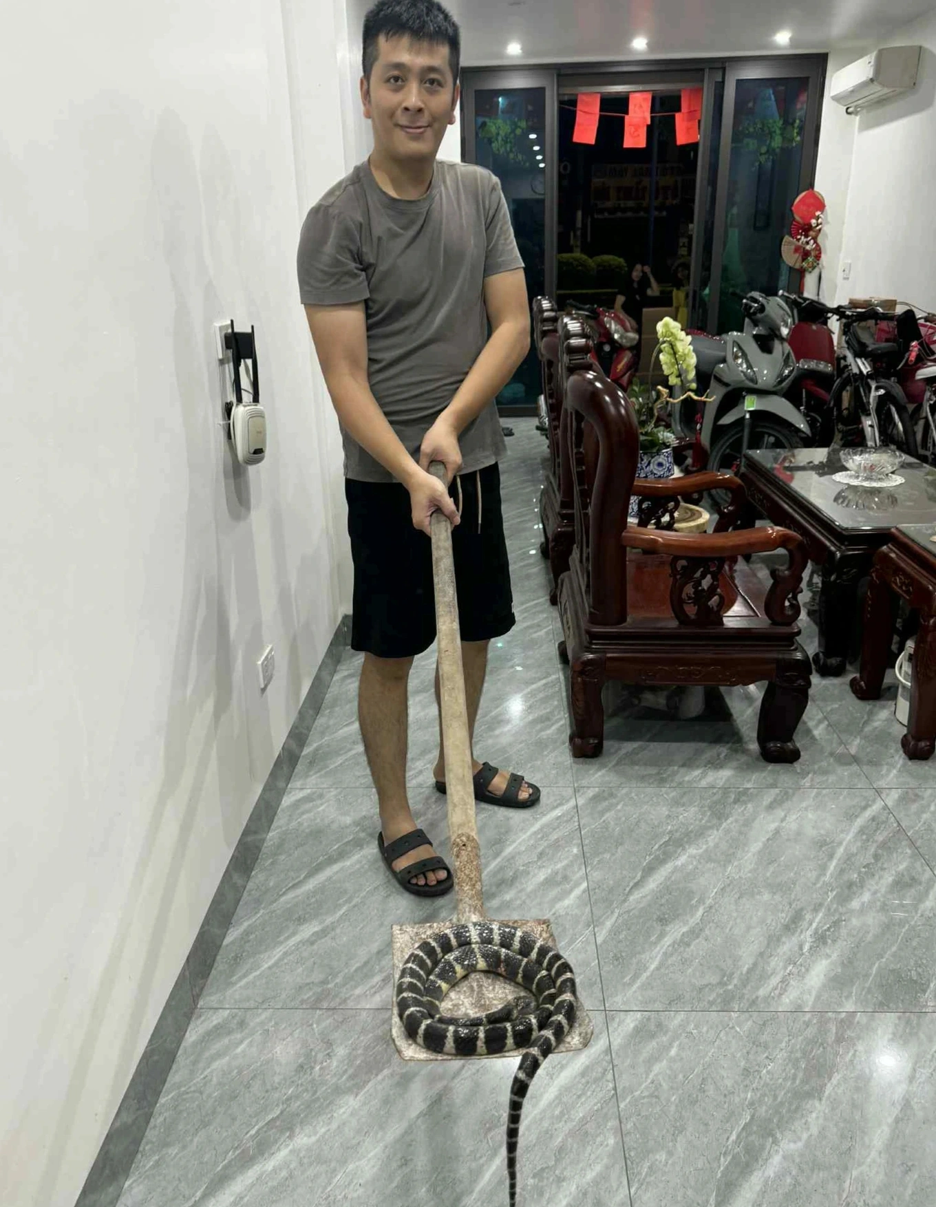 Phát hiện hổ mang trong bồn cầu, gia chủ ở Hưng Yên dụ 3 ngày mới bắt được