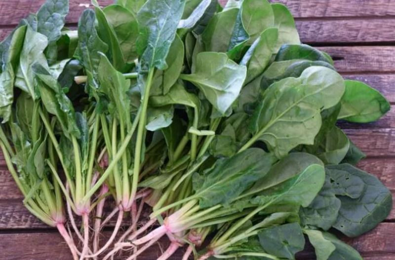 5 loại rau là “cao thủ bơm máu” cho phụ nữ – ăn đều đặn, da hồng hào, người ít bệnh
